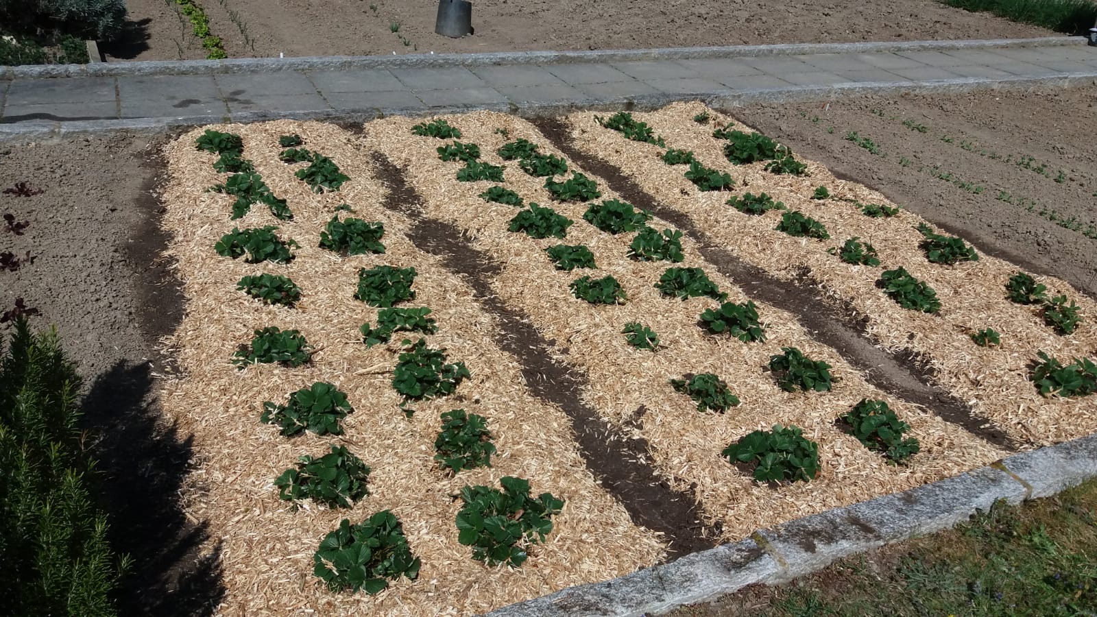 Hackgut- und Brennholzverkauf