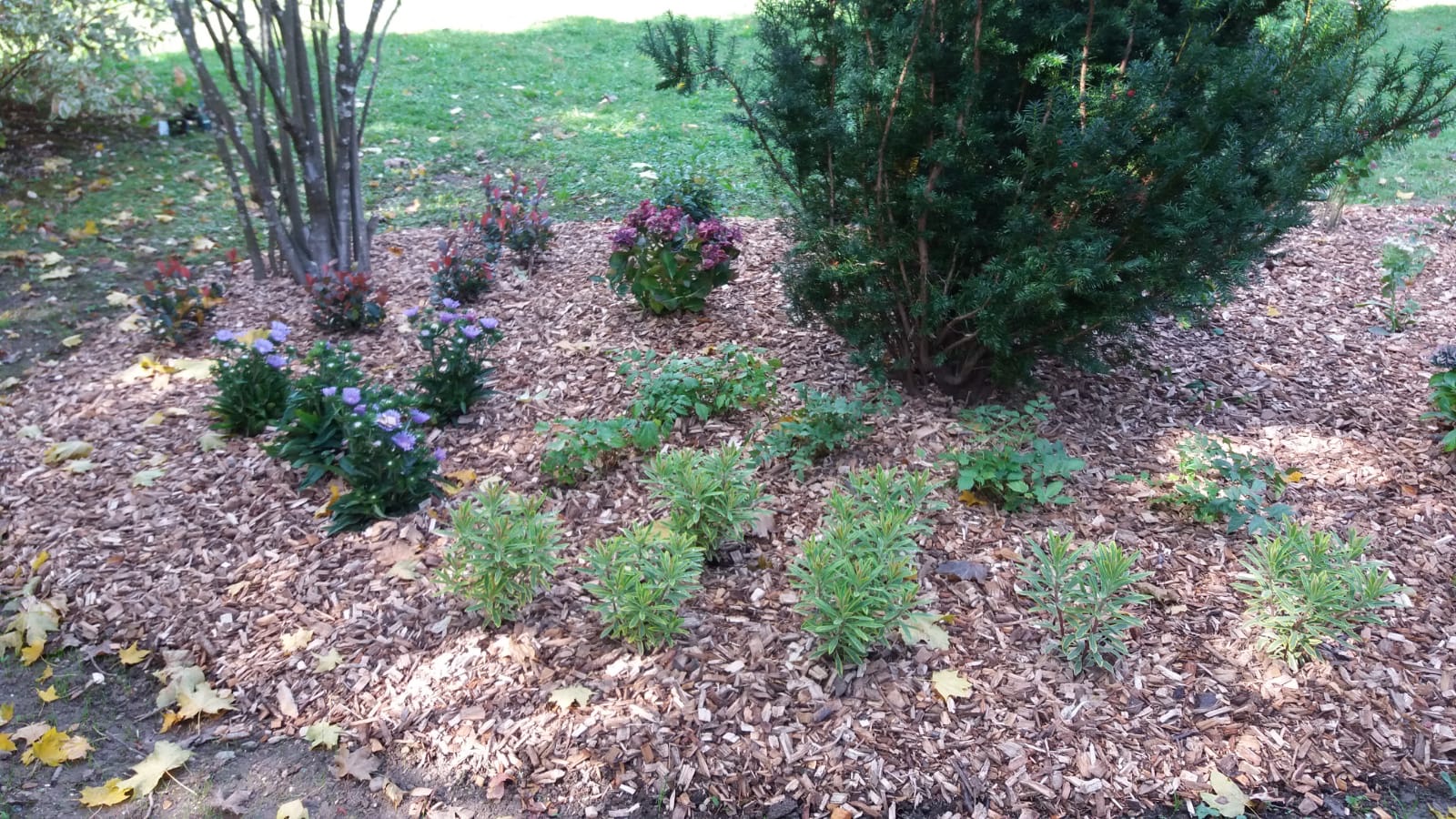 Hackgut- und Brennholzverkauf